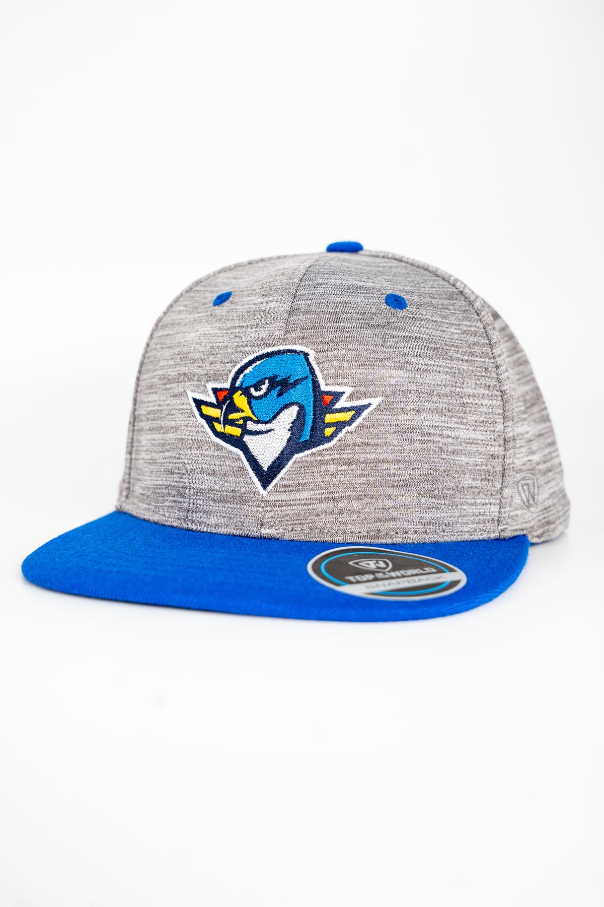 Backstop Flat Brim - Royal (J. America)