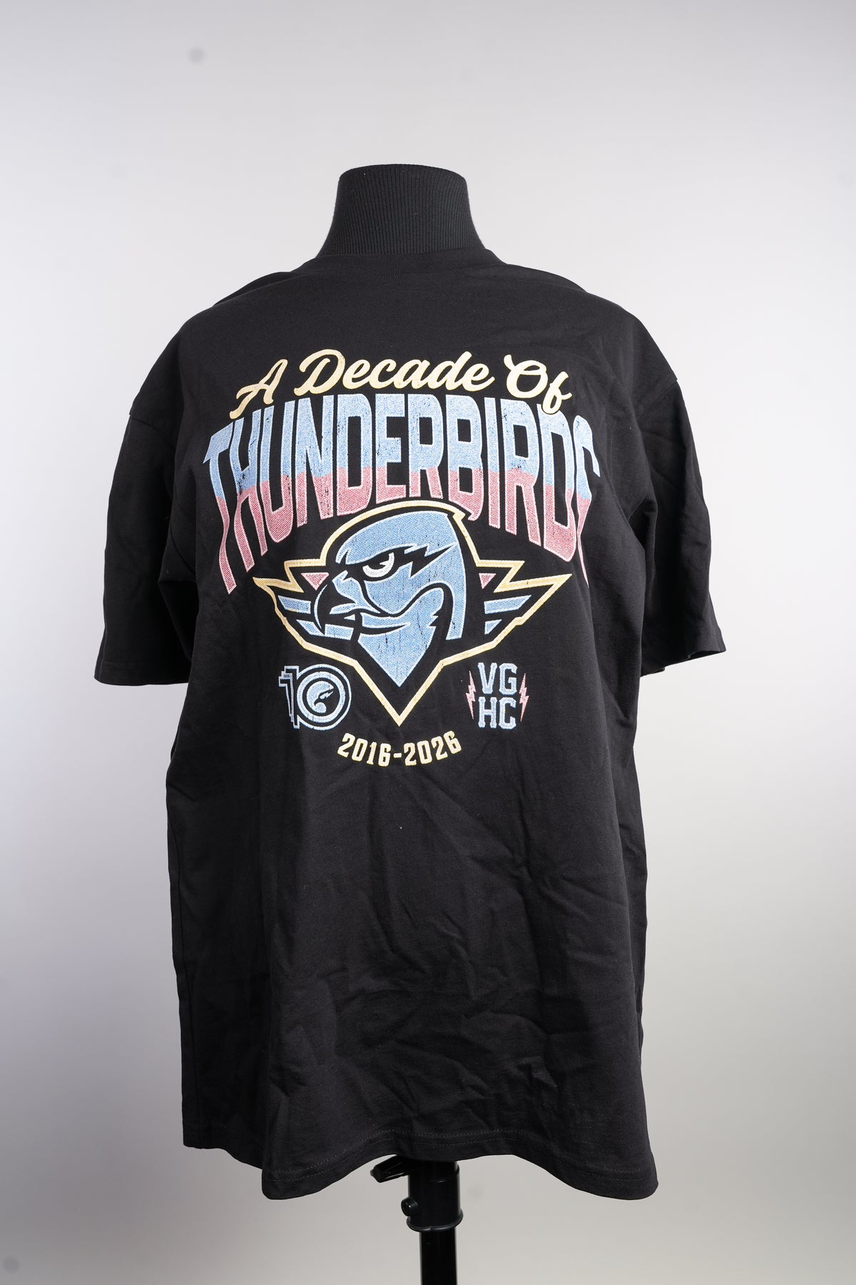 10th Anniversary Tour Tee - BLACK