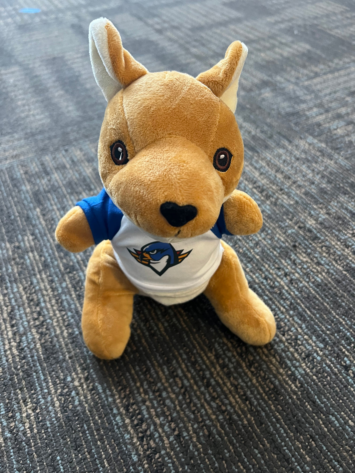 Q-Tee 9" Plush