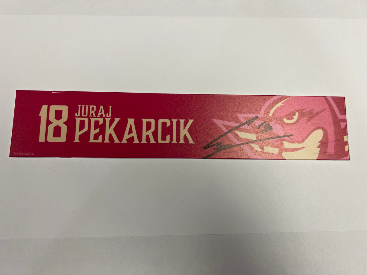 2025-26 Pink in the Rink Locker Nameplate
