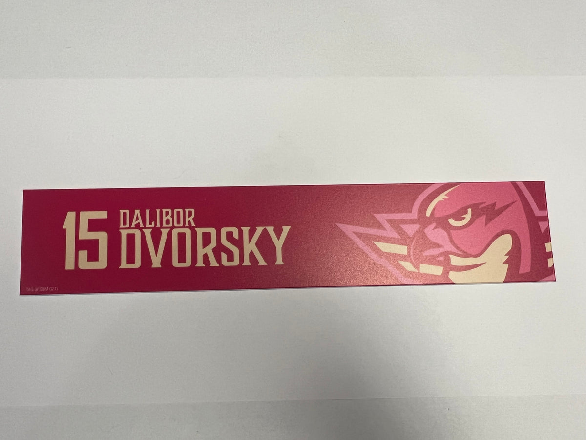 2025-26 Pink in the Rink Locker Nameplate