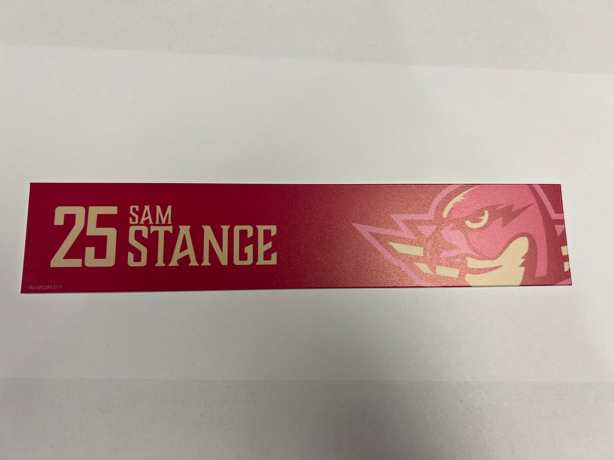 2025-26 Pink in the Rink Locker Nameplate