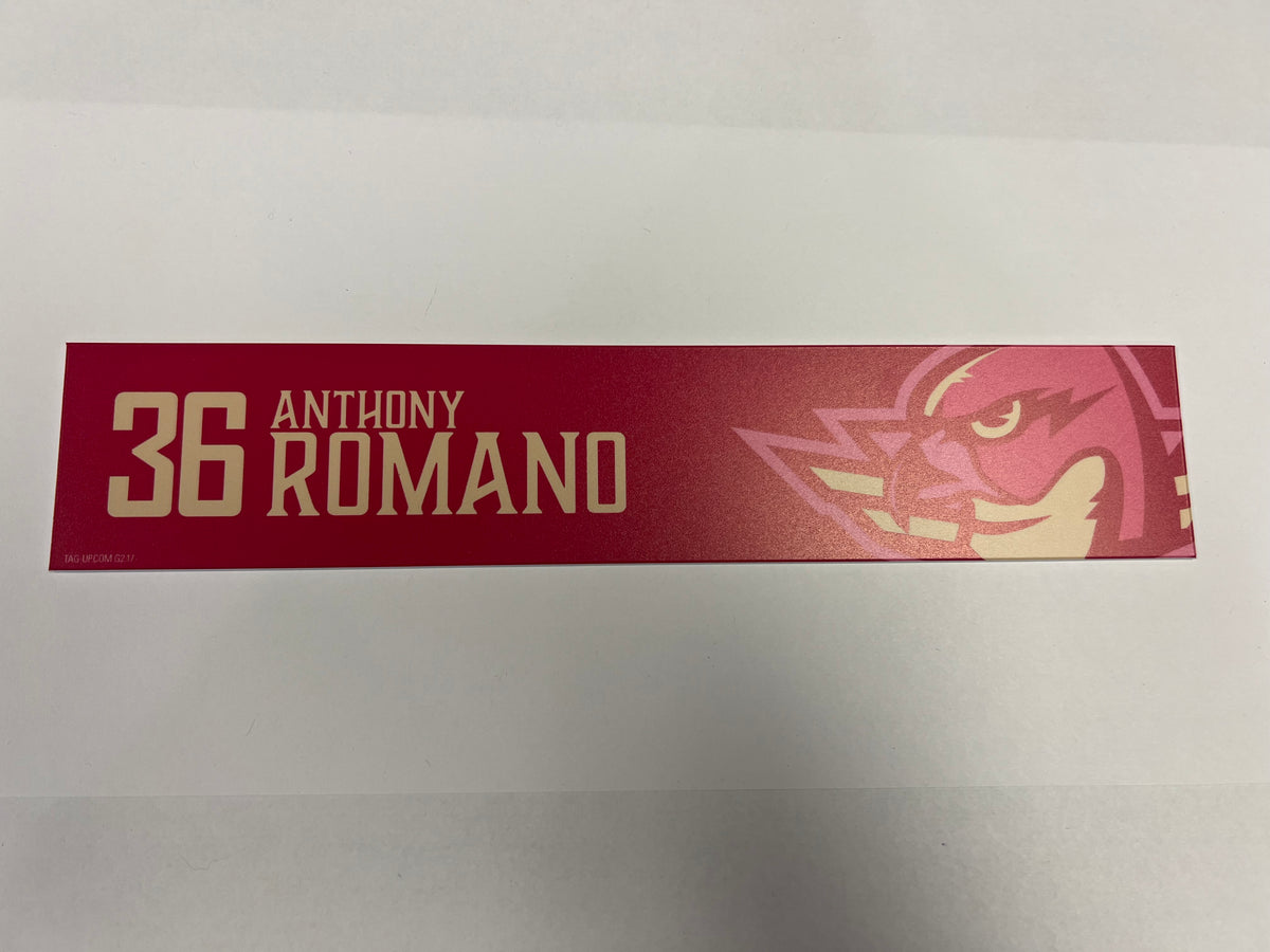 2025-26 Pink in the Rink Locker Nameplate