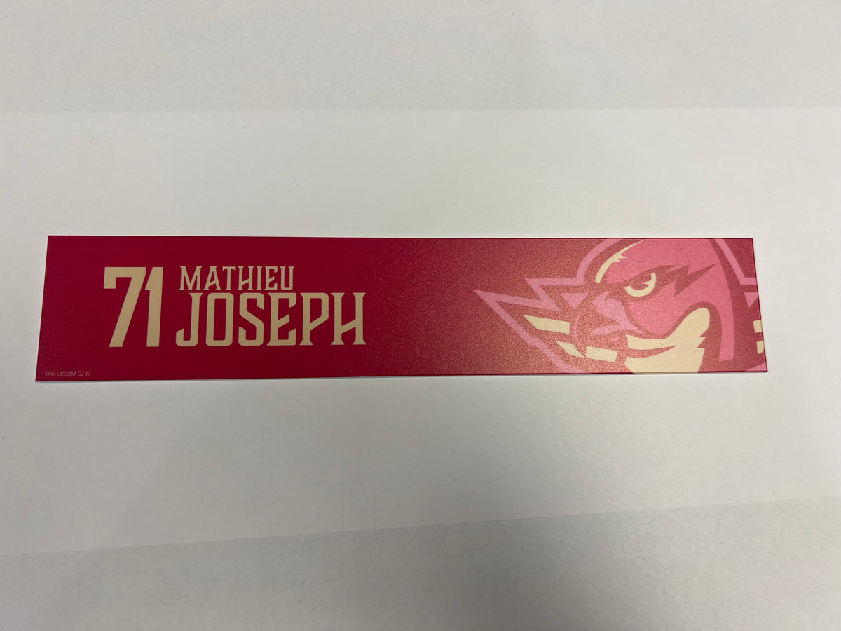 2025-26 Pink in the Rink Locker Nameplate