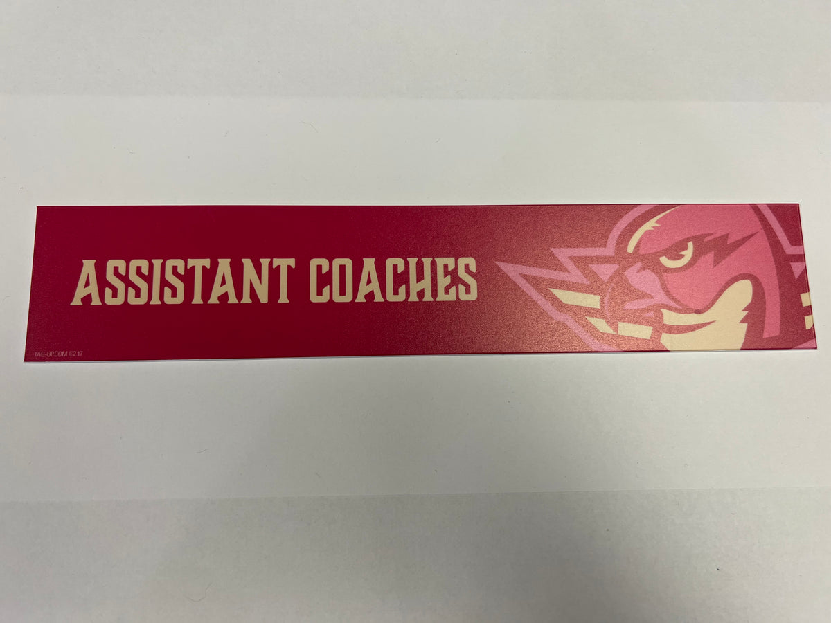 2025-26 Pink in the Rink Locker Nameplate