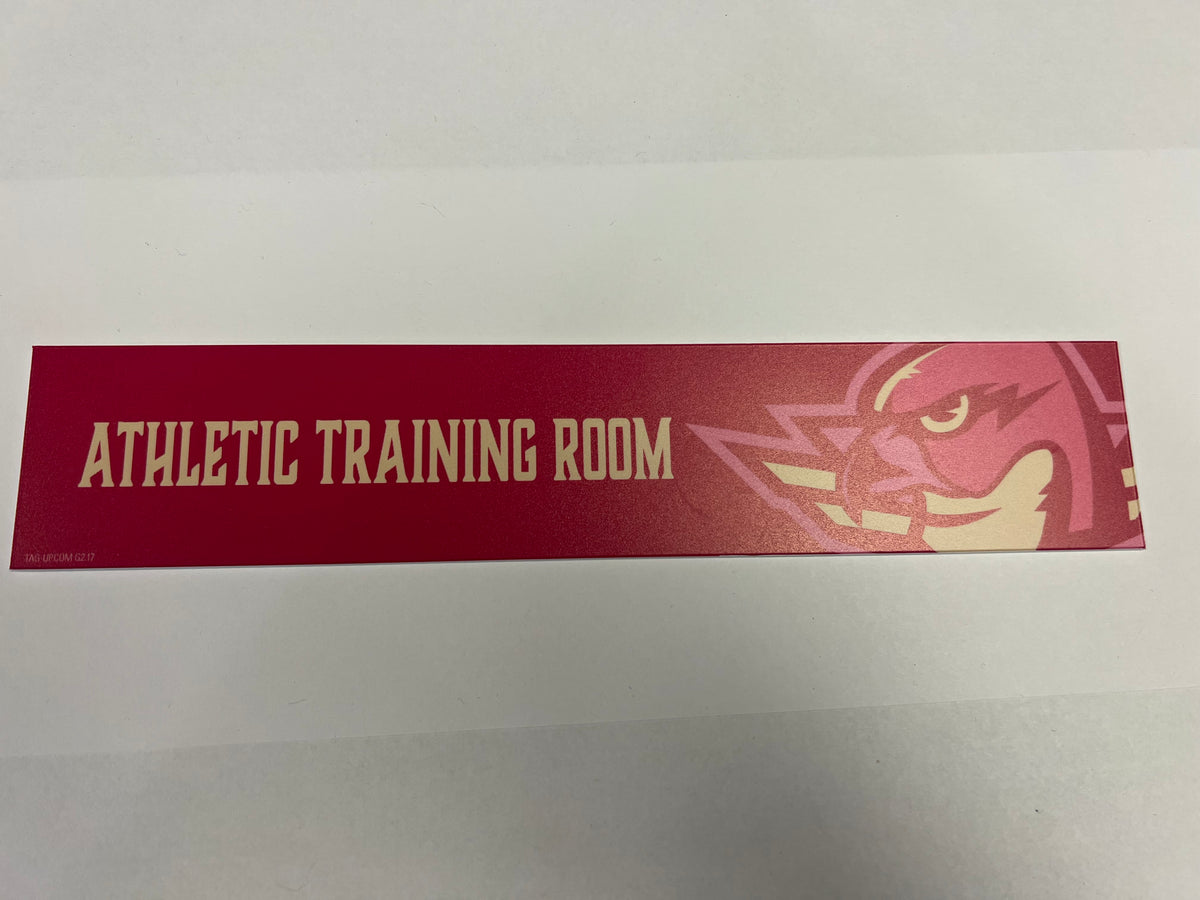 2025-26 Pink in the Rink Locker Nameplate