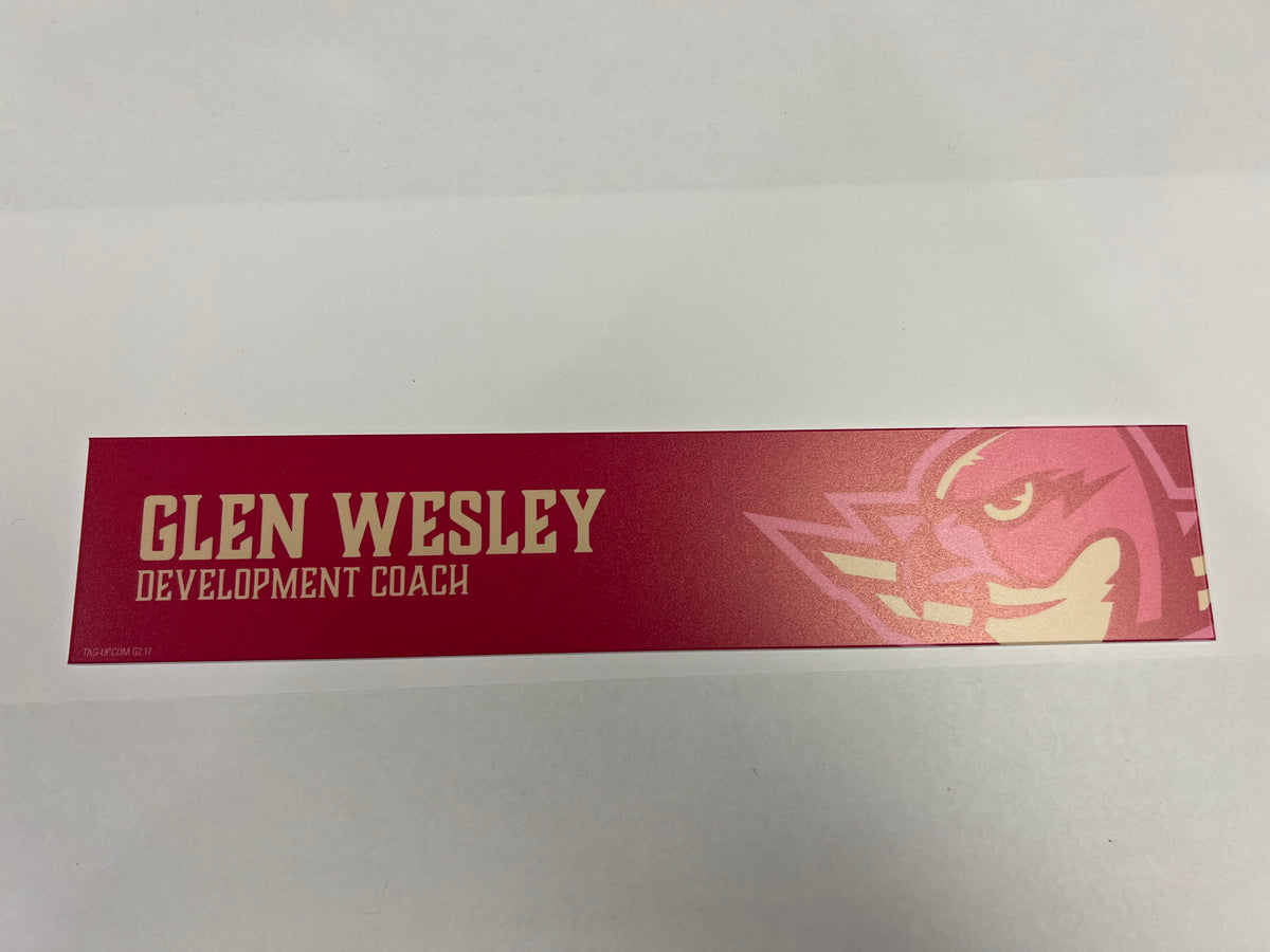 2025-26 Pink in the Rink Locker Nameplate