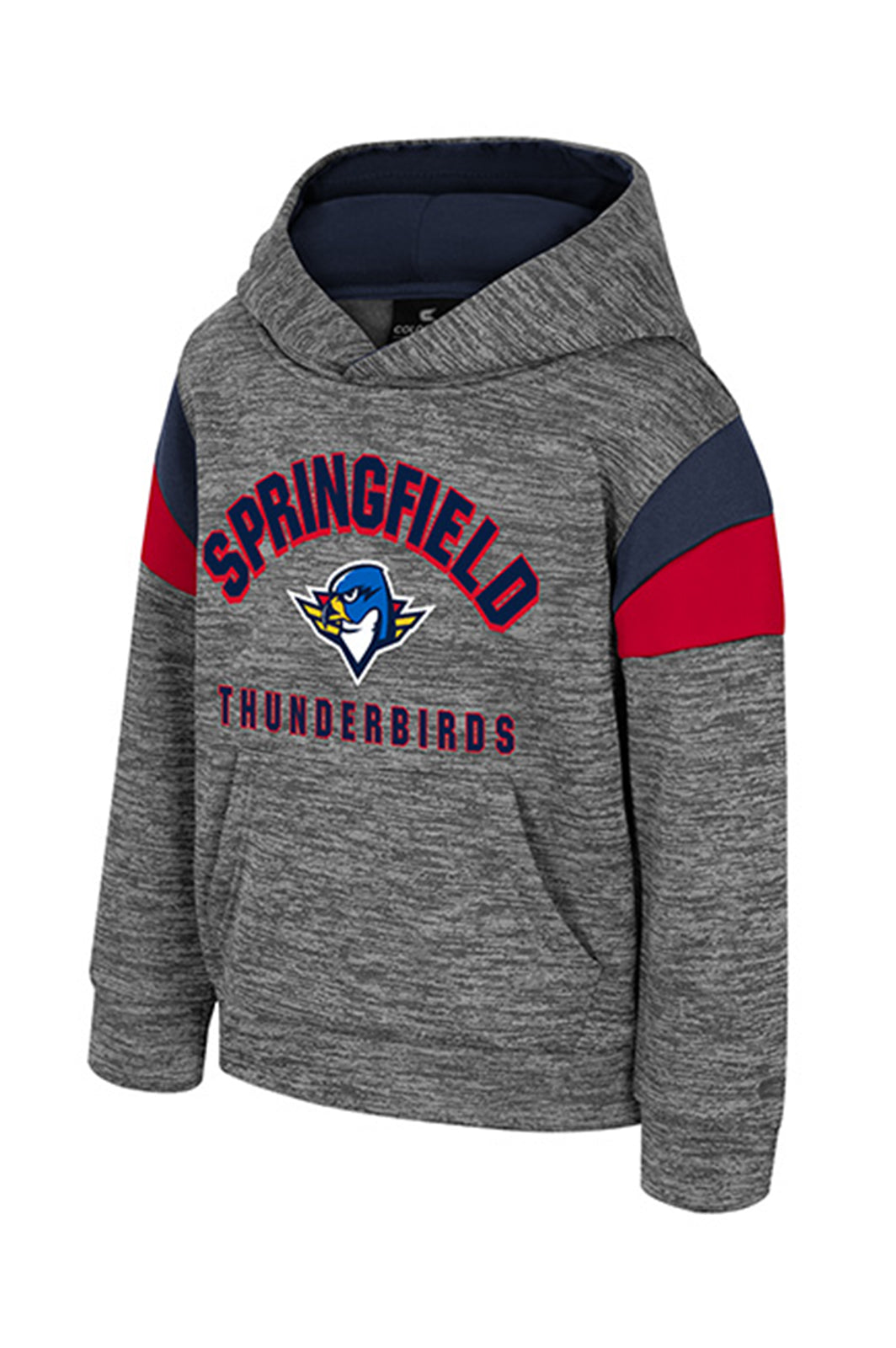 Toddler Wizard City Hoodie - Grey