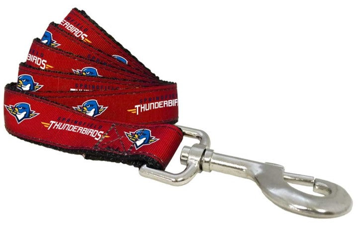 Dog Leash (Red)